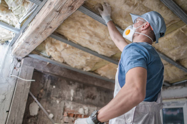 Types of Insulation We Offer in Meiners Oaks, CA
