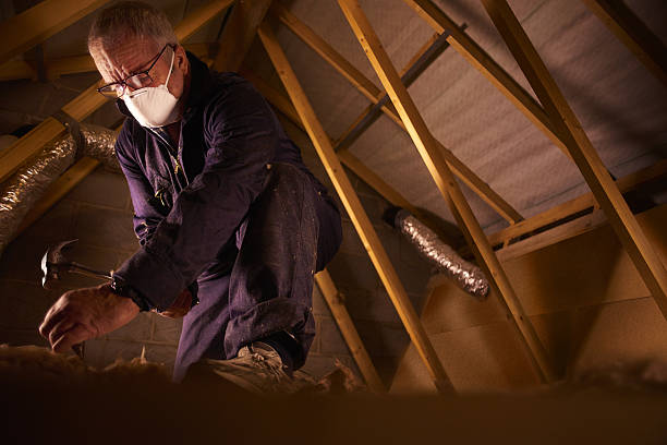 Best Eco-Friendly Insulation in Meiners Oaks, CA