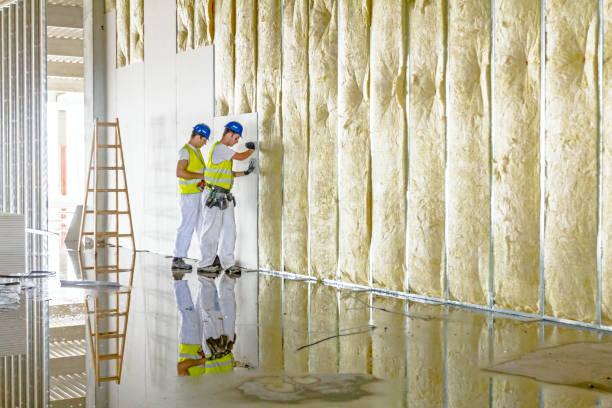 Best Cellulose Insulation in Meiners Oaks, CA